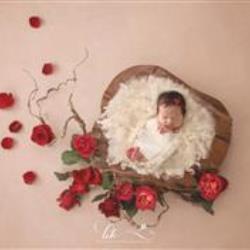 Angie A. Newborn Photographer - profile picture