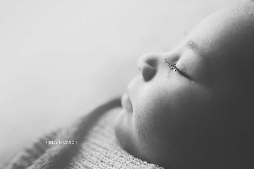 newborn photography community critique photo submitted by Shelly Ferguson - 6 community members set this photo as a favourite image.