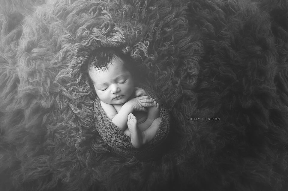 newborn photography community critique photo submitted by Shelly Ferguson - 3 community members set this photo as a favourite image.