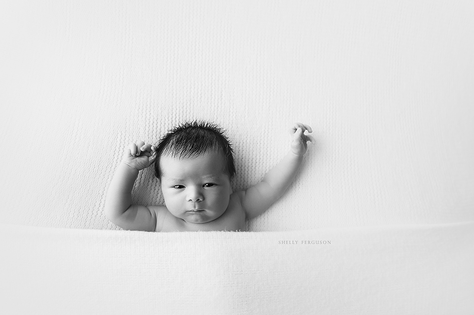 newborn photography community critique photo submitted by Shelly Ferguson - 5 community members set this photo as a favourite image.