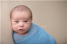 Shelly Ferguson newborn photography