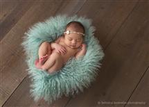 Dana MacIntyre newborn photography