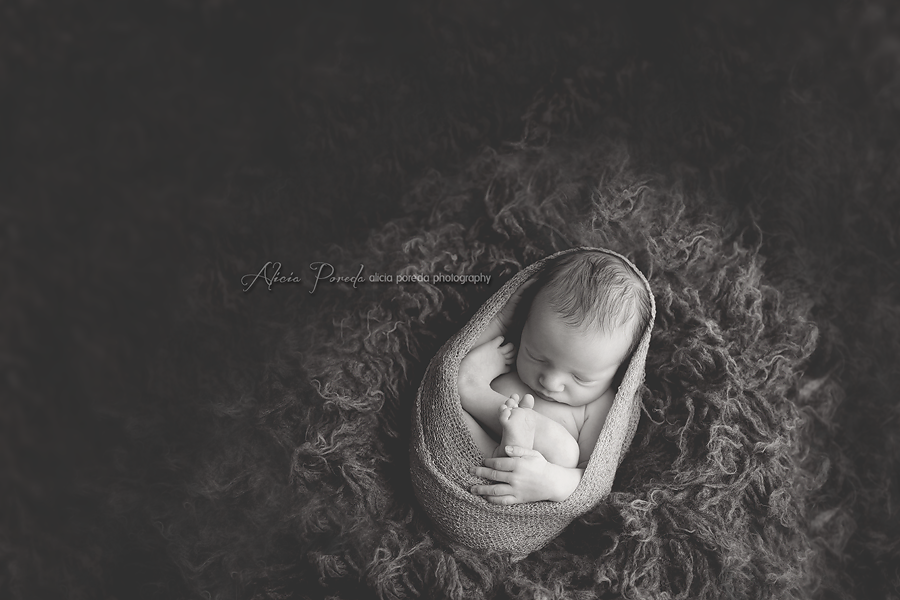 newborn photography community critique photo submitted by Alicia Poreda - 3 community members set this photo as a favourite image.