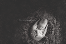Alicia Poreda newborn photography