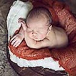 Cyndi Shewmake Newborn Photographer - profile picture