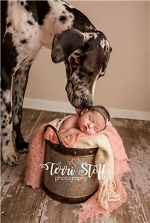 Terri Stoff newborn photography