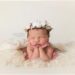 Fawn Farner Newborn Photographer - profile picture