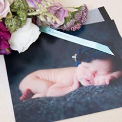 Elated Moments Photography Newborn Photographer - profile picture