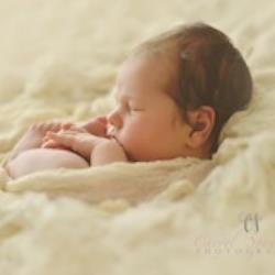 Cheryl Spaulding Newborn Photographer - profile picture