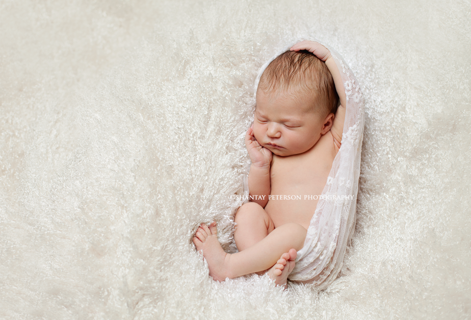 newborn photography community critique photo submitted by Shantay Peterson - 2 community members set this photo as a favourite image.