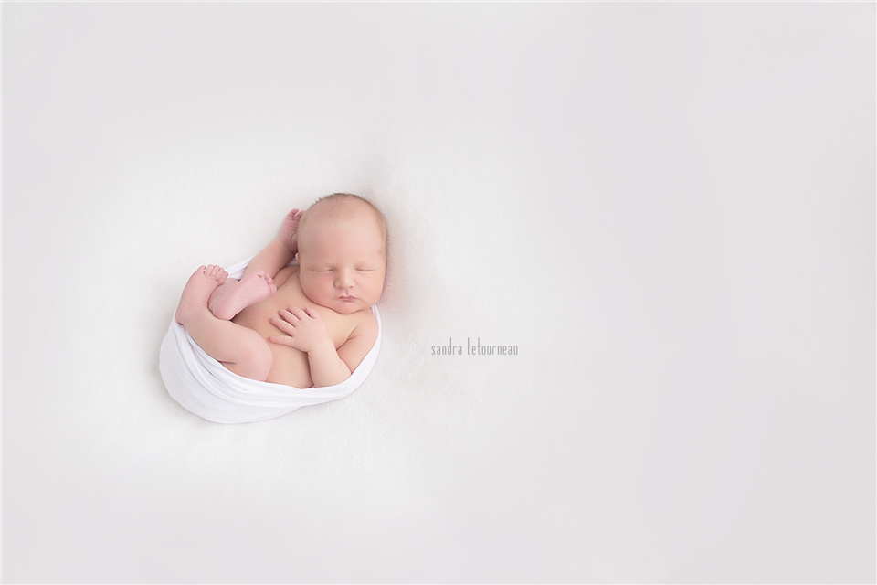 newborn photography community critique photo submitted by Sandra Letourneau - 2 community members set this photo as a favourite image.