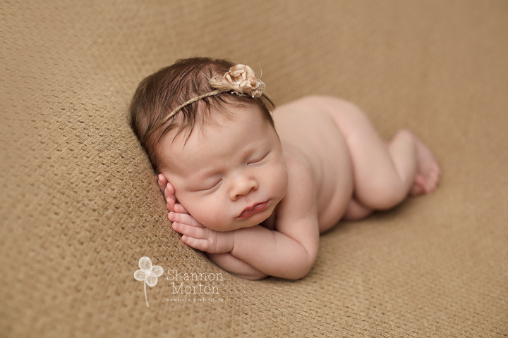 newborn photography community critique photo submitted by Shannon Morton - 3 community members set this photo as a favourite image.