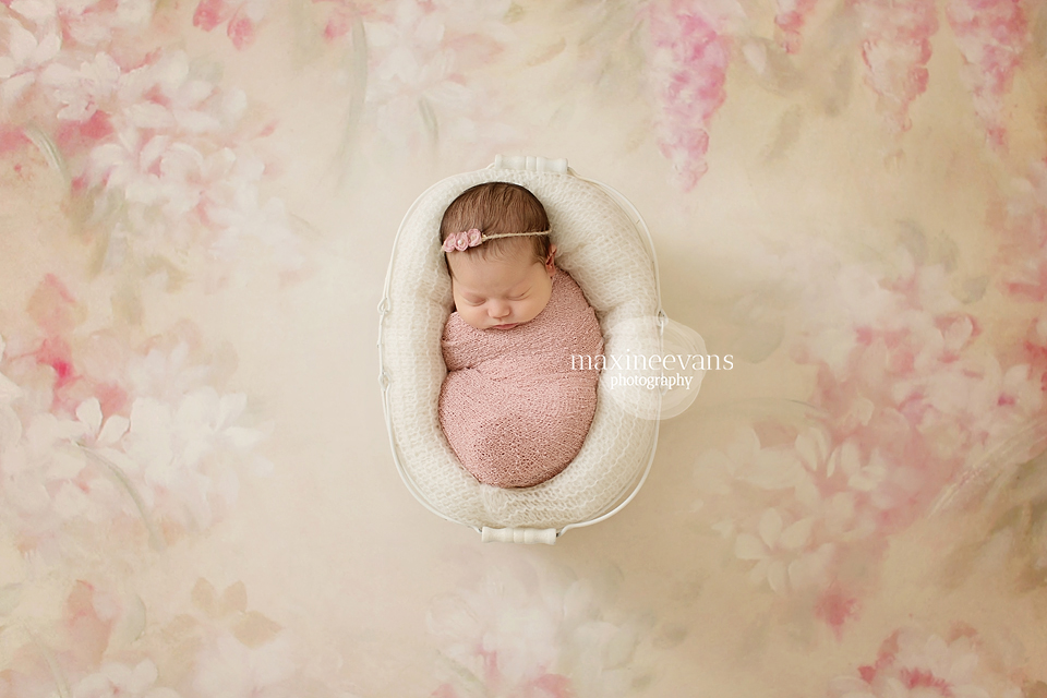 newborn photography community critique photo submitted by Maxine Evans - 5 community members set this photo as a favourite image.