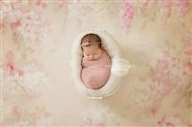 Maxine Evans newborn photography