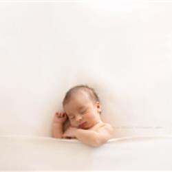 Rachel Brencur Newborn Photographer - profile picture