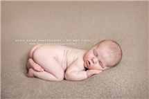 Jodie Drake newborn photography