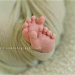 Jennifer Killion Newborn Photographer - profile picture