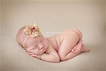 Stephanie Smith newborn photography