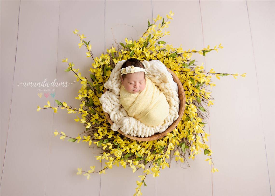 newborn photography community critique photo submitted by Amanda Dams - 1 community members set this photo as a favourite image.