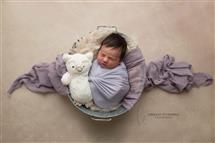 Lindsay O'Connell newborn photography