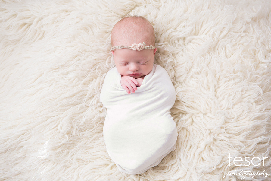 newborn photography community critique photo submitted by Kelly Tesar - 4 community members set this photo as a favourite image.