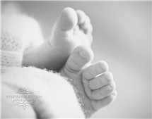 Stephanie Patton newborn photography