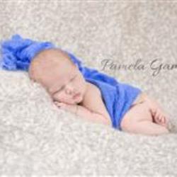 Pamela Gammon Newborn Photographer - profile picture