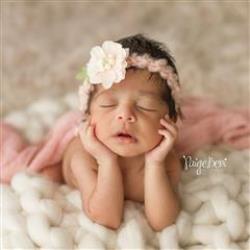 Paige Beni Newborn Photographer - profile picture