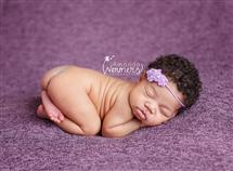 Amanda Wermers newborn photography