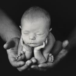 Lidi Lima-Conlon Newborn Photographer - profile picture