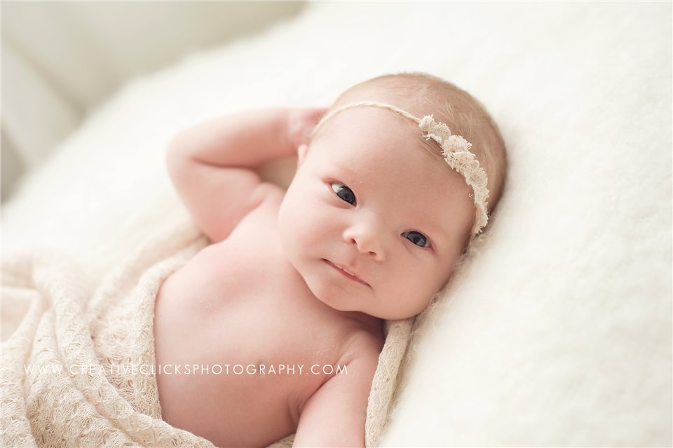newborn photography community critique photo submitted by Tamsen Donker - 2 community members set this photo as a favourite image.