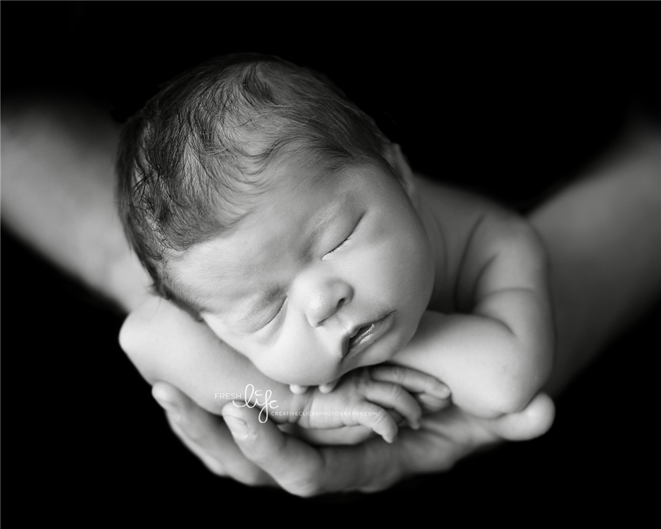 newborn photography community critique photo submitted by Tamsen Donker - 6 community members set this photo as a favourite image.