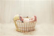 Betsy Runyon newborn photography