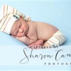 Sharon Cameron Newborn Photographer - profile picture
