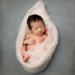 Marta Stoyanova Newborn Photographer - profile picture
