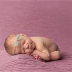 Johanna Kitzman Newborn Photographer - profile picture