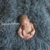 newborn photographer Shannon Anderson