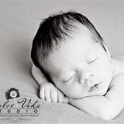 Liz Jones Newborn Photographer - profile picture