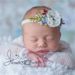 Lynette Busche Newborn Photographer - profile picture