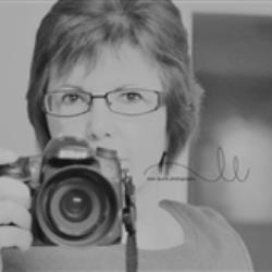 Leah Laurie Newborn Photographer - profile picture