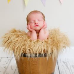 Robin Roman Newborn Photographer - profile picture