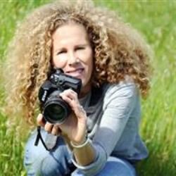 Heather Hart Newborn Photographer - profile picture