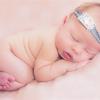 newborn photographer Carrie Collins