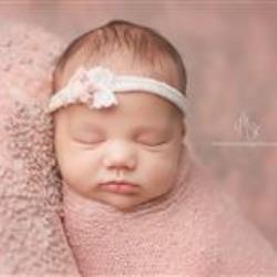 Megan Sheeks Newborn Photographer - profile picture