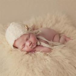 Gina Altieri Newborn Photographer - profile picture
