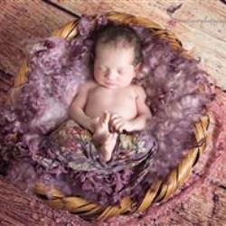 Catalina Bazan Newborn Photographer - profile picture