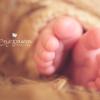newborn photographer Cris Passos