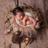 newborn photographer Narmin Nasir
