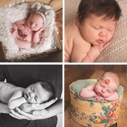 Sarah Costa Newborn Photographer - profile picture
