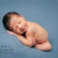 Andrea Friedman Newborn Photographer - profile picture